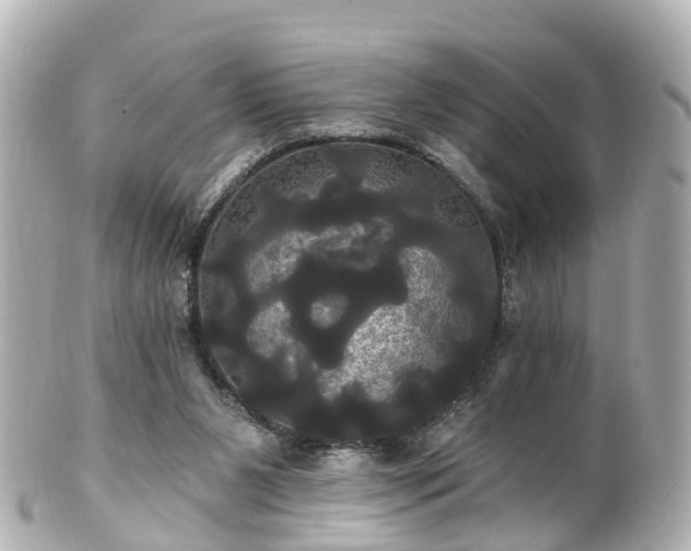 X0000100920111200807011316