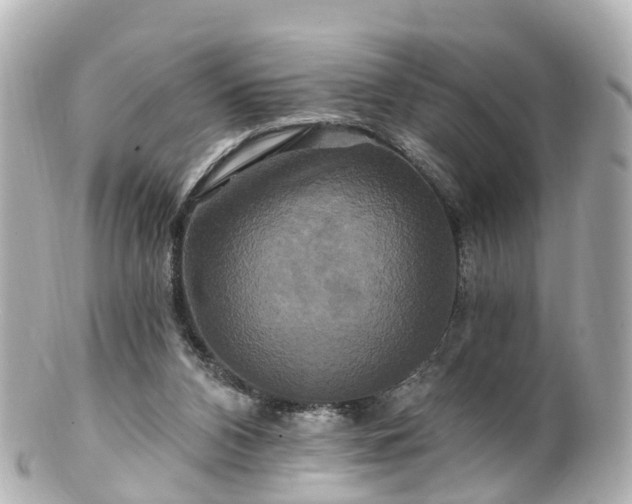 X0000100920112200807011316