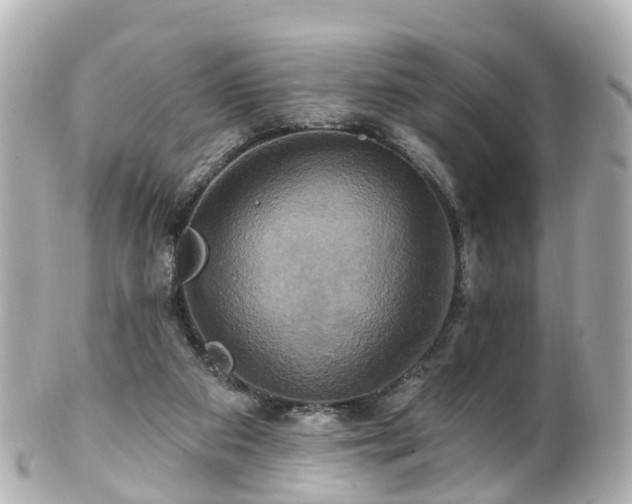 X0000100920113200807011316