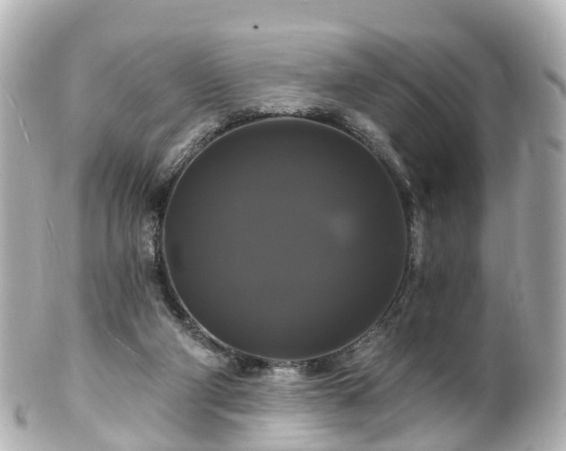 X0000100920114200807011316