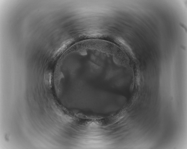 X0000100920115200807011316