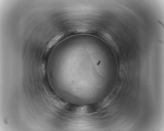 X0000100920116200807011315