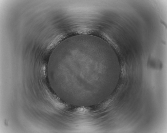 X0000100920117200807011315