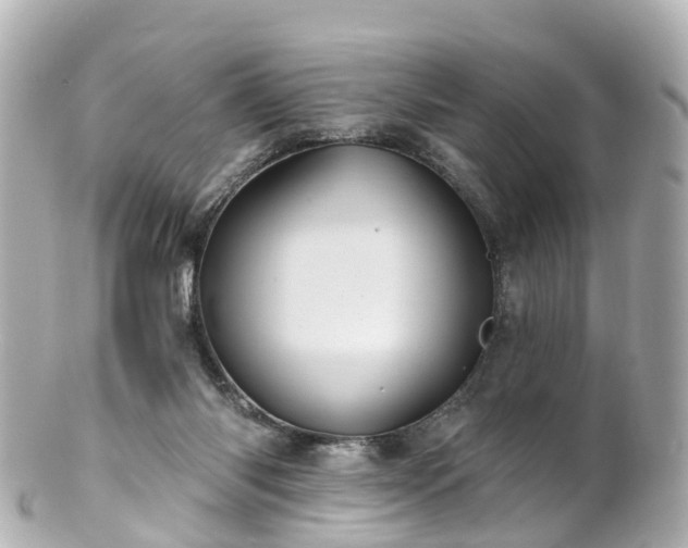 X0000100920118200807011315