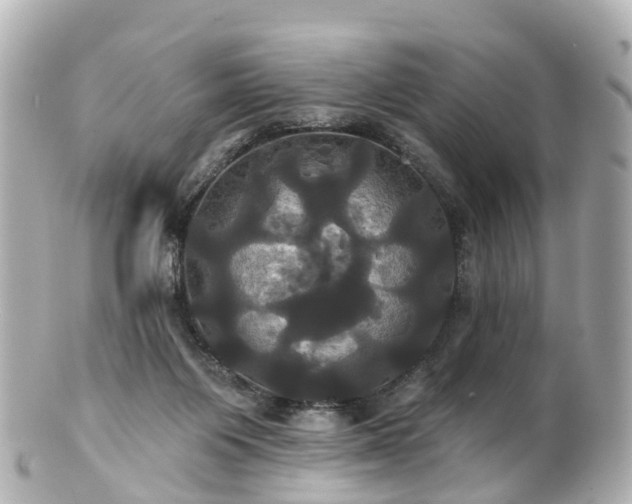 X0000100920119200807011315