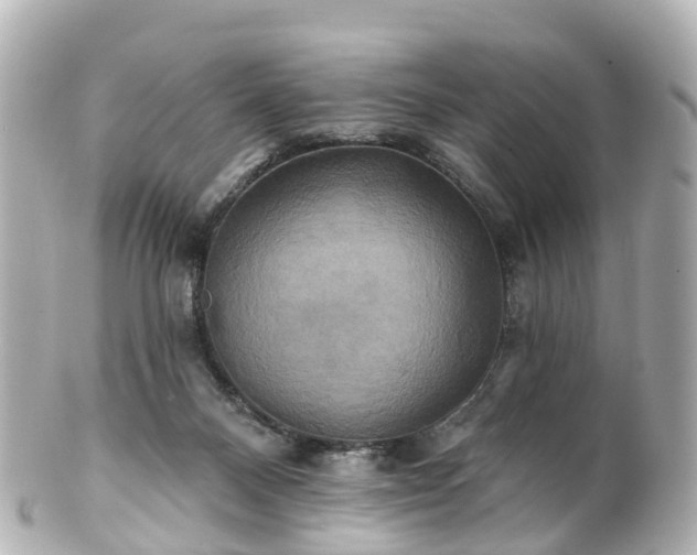 X0000100920120200807011315