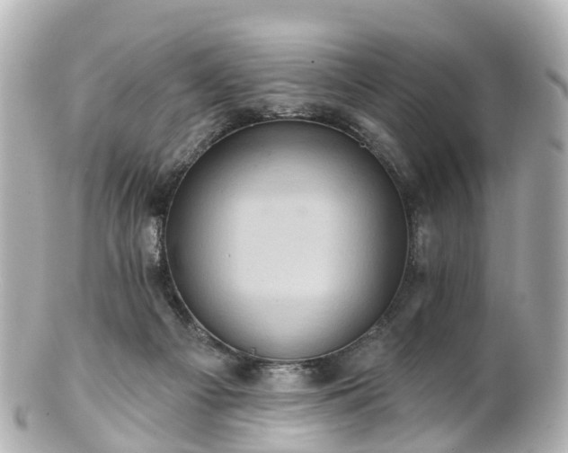 X0000100920121200807011315