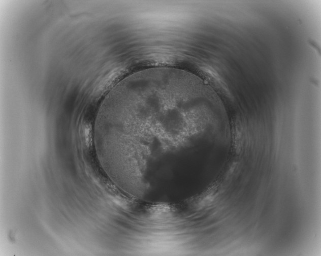 X0000100920123200807011315