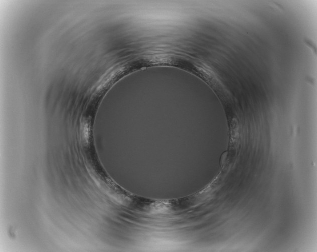 X0000100920124200807011315