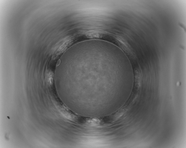 X0000100920125200807011315