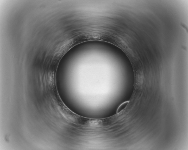 X0000100920126200807011315