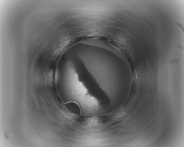 X0000100920127200807011315