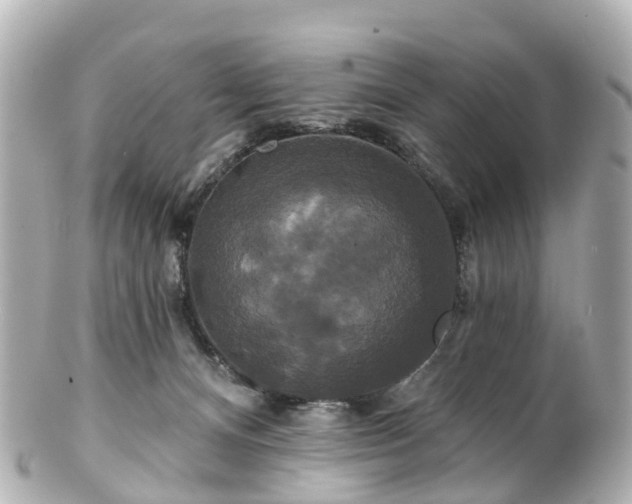 X0000100920128200807011315