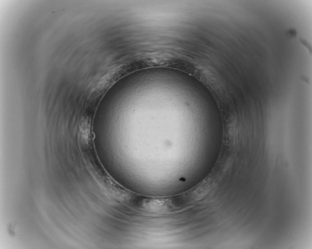 X0000100920129200807011315