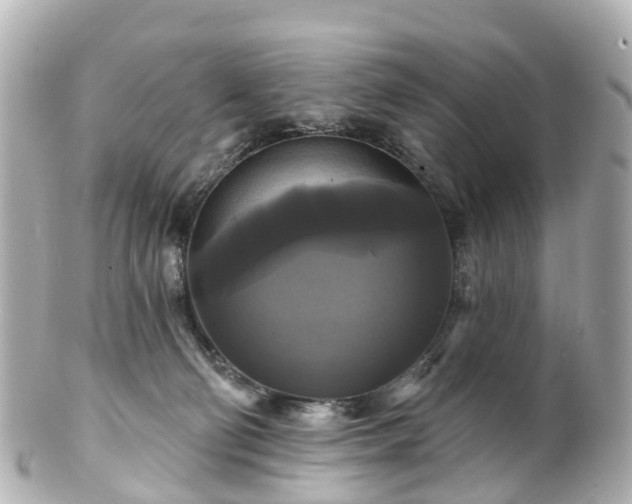 X0000100920130200807011315