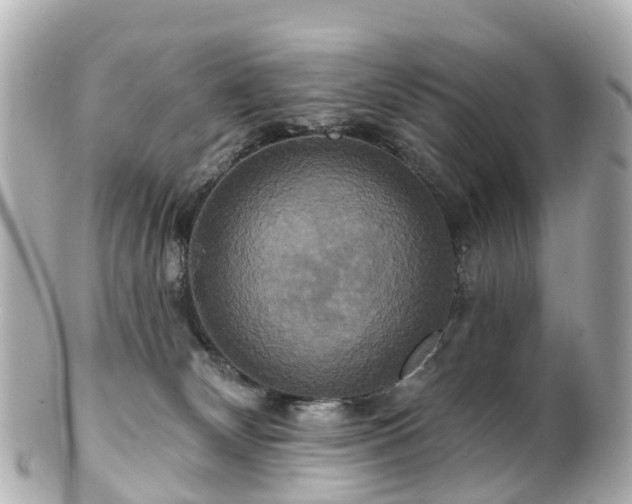 X0000100920132200807011315