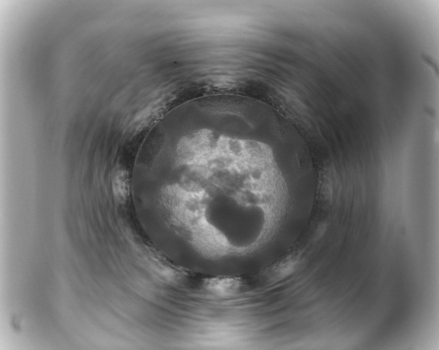 X0000100920135200807011315