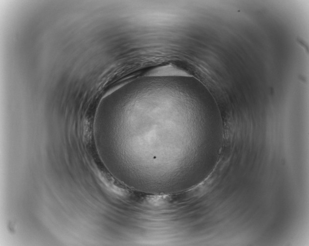 X0000100920136200807011315