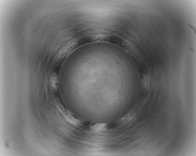 X0000100920138200807011315