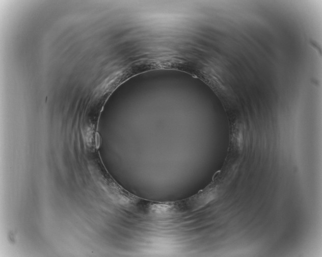 X0000100920139200807011315