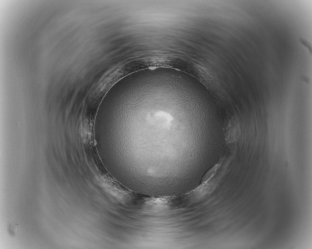 X0000100920140200807011315