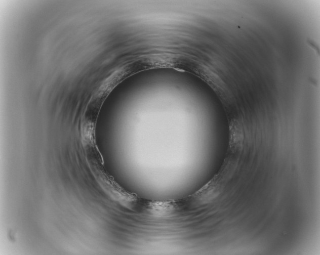 X0000100920141200807011315