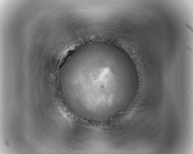 X0000100920144200807011315