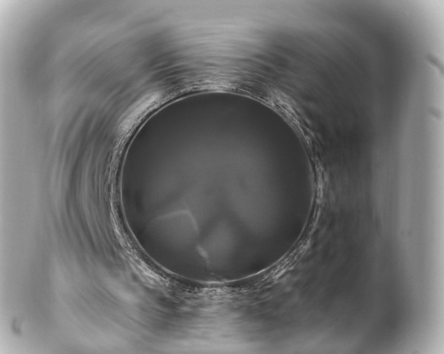 X0000100920145200807011314