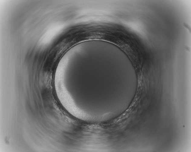 X0000100920146200807011314