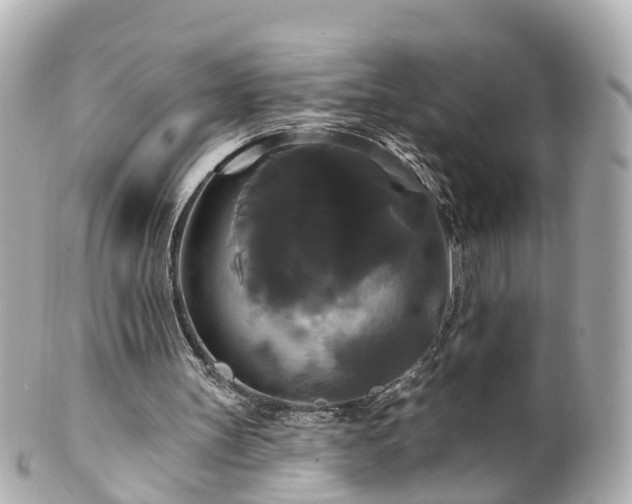 X0000100920147200807011314