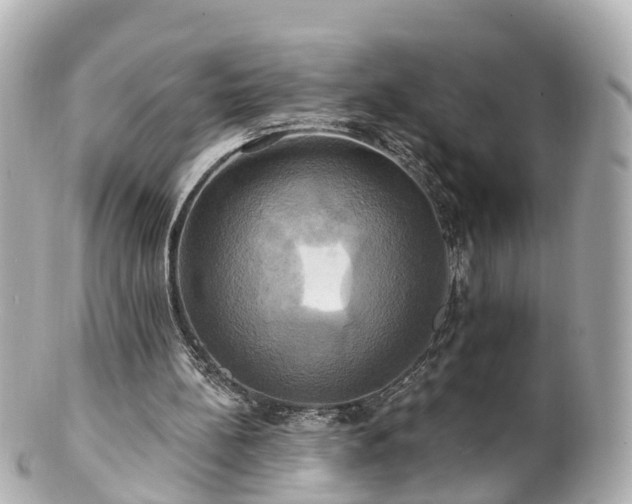 X0000100920148200807011314