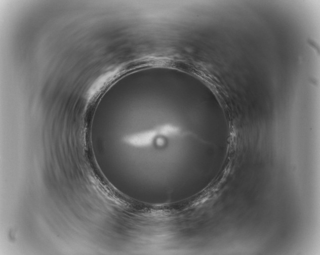 X0000100920149200807011314