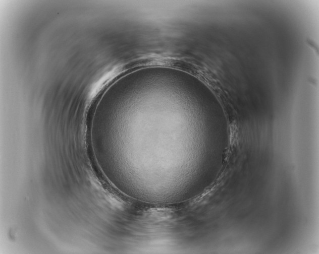 X0000100920150200807011314