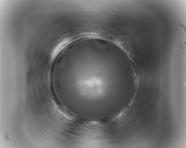 X0000100920151200807011314