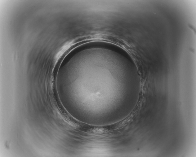 X0000100920152200807011315