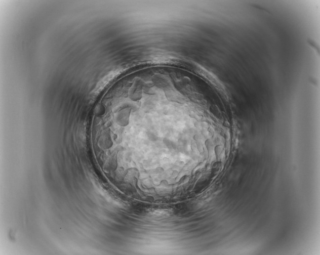 X0000100920155200807011315