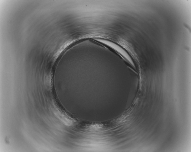 X0000100920156200807011315