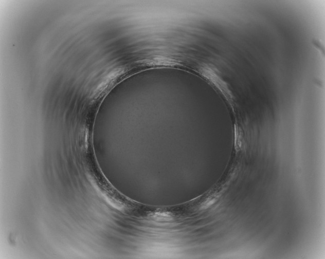 X0000100920157200807011315