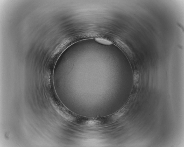 X0000100920158200807011315