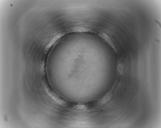 X0000100920159200807011315