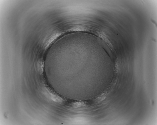 X0000100920160200807011315