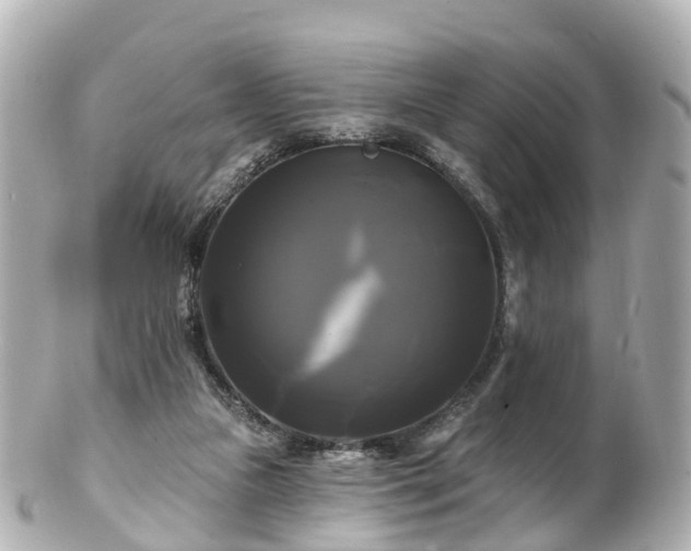 X0000100920161200807011315