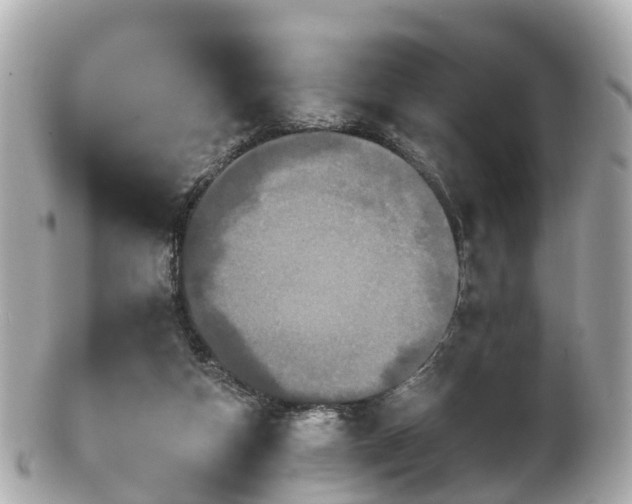 X0000100920162200807011315