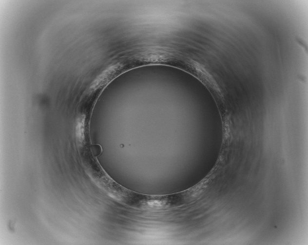 X0000100920163200807011315