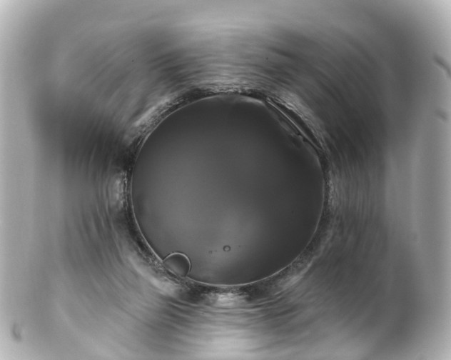 X0000100920165200807011315