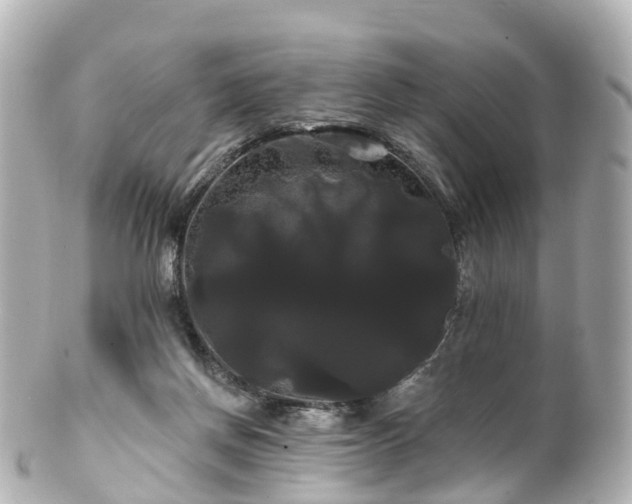 X0000100920166200807011315