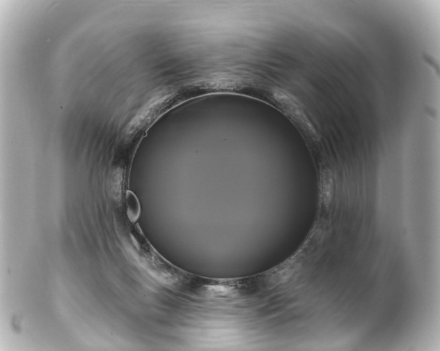 X0000100920167200807011315