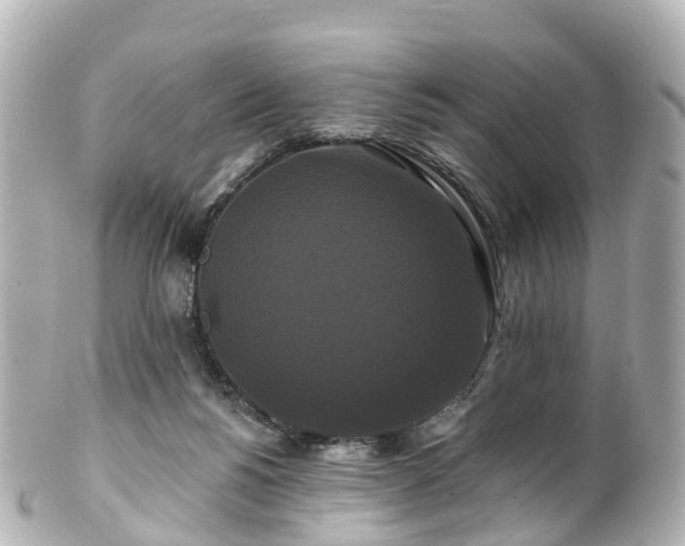 X0000100920168200807011315