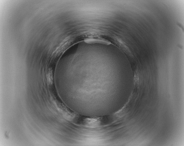 X0000100920170200807011315