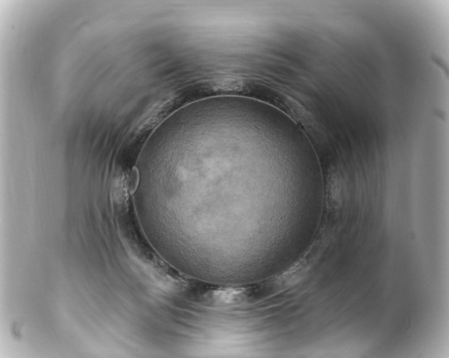 X0000100920172200807011315